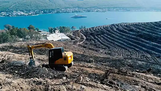 Fidan dikim seferberliği 11 Kasım'da