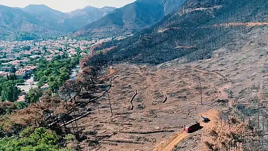 Fidan dikim seferberliği 11 Kasım'da