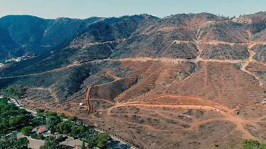 Fidan dikim seferberliği 11 Kasım'da