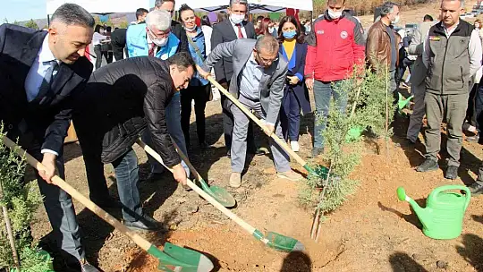 Fidanlar toprakla buluştu