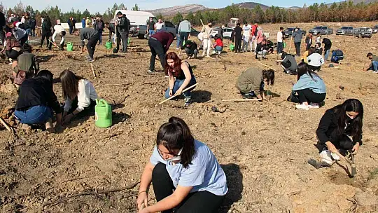 Fidanlar toprakla buluştu