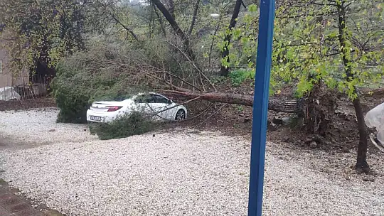 FIRTINA AĞAÇLARI DEVİRDİ, LÜKS ARAÇ VE BİR EV ZARAR GÖRDÜ