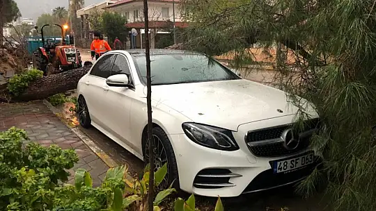 FIRTINA AĞAÇLARI DEVİRDİ, LÜKS ARAÇ VE BİR EV ZARAR GÖRDÜ
