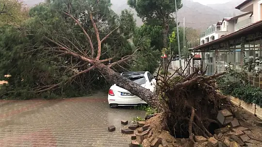 FIRTINA AĞAÇLARI DEVİRDİ, LÜKS ARAÇ VE BİR EV ZARAR GÖRDÜ