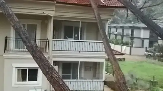 FIRTINA AĞAÇLARI DEVİRDİ, LÜKS ARAÇ VE BİR EV ZARAR GÖRDÜ