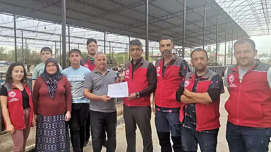 Hastalıktan Arı İşletme Sayısı Artıyor