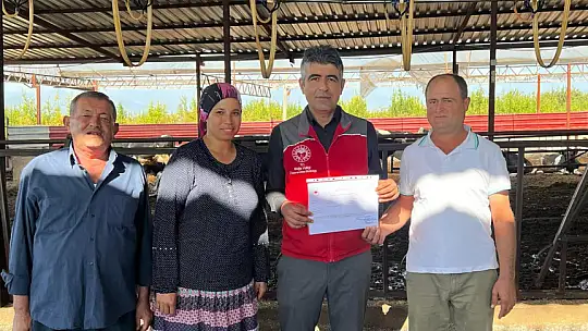 Hastalıktan Arı İşletme Sayısı Artıyor