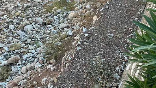 GEÇTİĞİMİZ KIŞ SELİN VURDUĞU İÇMELER MAHALLESİ SAKİNLERİ DERE YATAKLARI TEMİZLENSİN İSTİYOR