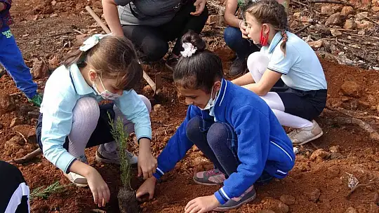 Geleceğe nefes projesi kapsamında Marmaris'te 50 bin fidan dikildi