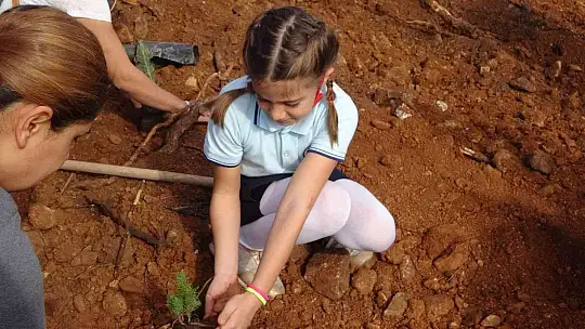 Geleceğe nefes projesi kapsamında Marmaris'te 50 bin fidan dikildi