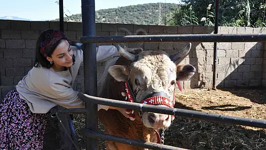 GENÇ KIZIN BOĞA SEVGİSİ ŞAŞIRTIYOR