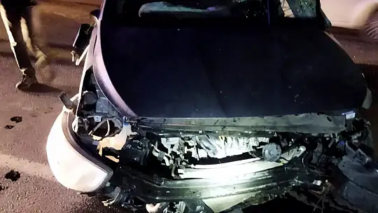 Genç veteriner kazada yaşamını yitirdi