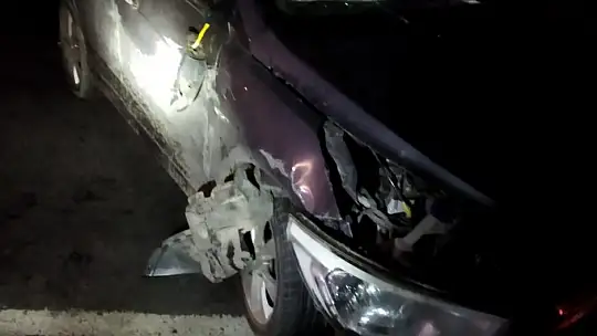 Genç veteriner kazada yaşamını yitirdi