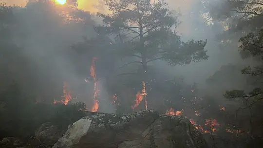 Gökbel Dağları alev alev yanıyor