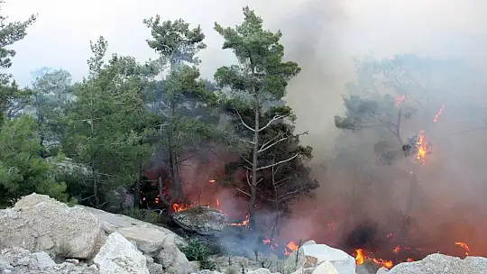 Gökbel Dağları alev alev yanıyor