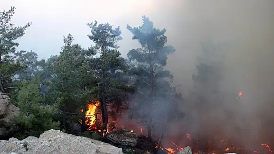 Gökbel Dağları alev alev yanıyor