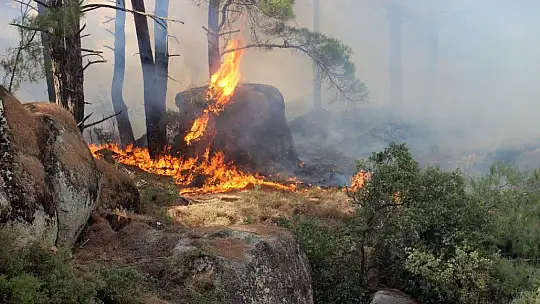 Gökbel Dağları alev alev yanıyor