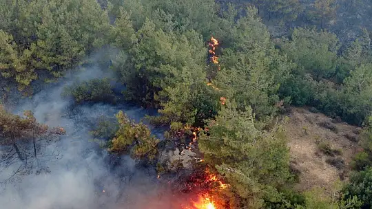 Gökbel Dağları alev alev yanıyor
