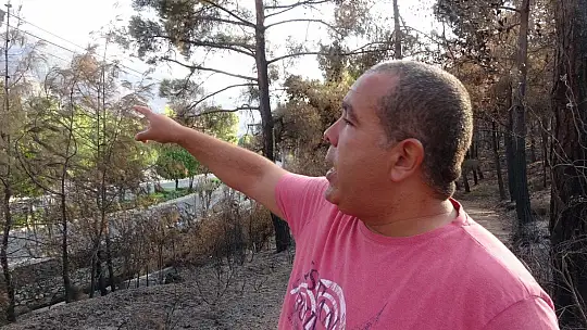 Gözü gibi bakarak biriktirdiği 4 bin ağaç tohumunu yanan ormanlar için paylaşmak istiyor