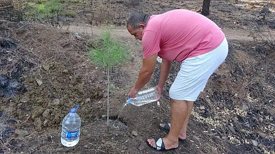 Gözü gibi bakarak biriktirdiği 4 bin ağaç tohumunu yanan ormanlar için paylaşmak istiyor