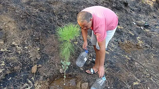 Gözü gibi bakarak biriktirdiği 4 bin ağaç tohumunu yanan ormanlar için paylaşmak istiyor