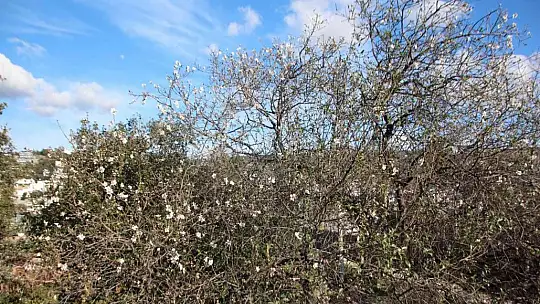 Güzel havanın tadını çıkardılar