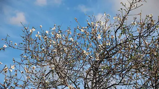 Güzel havanın tadını çıkardılar