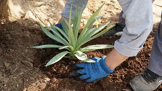 'Halikarnas Balıkçısı Seyir Terası' açıldı