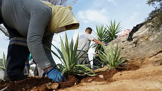 'Halikarnas Balıkçısı Seyir Terası' açıldı