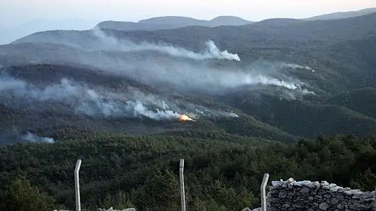 Hava araçlarının yüzlerce sortisine karşılık rüzgarın yön değiştirmesi alevleri artırdı