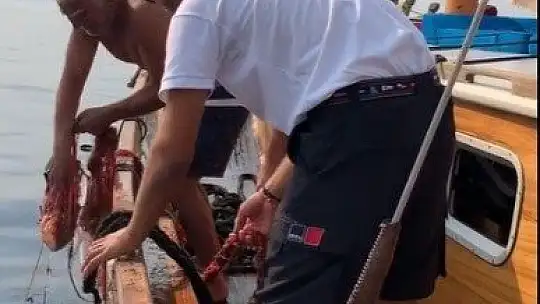 Hayalet ağlara dolanan orfozu kurtardı
