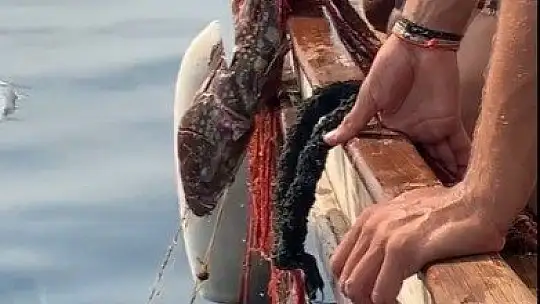 Hayalet ağlara dolanan orfozu kurtardı