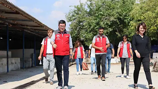 Hayvan satış ve kesim yerleri  bayrama hazır