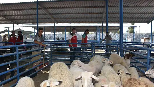 Hayvan satış ve kesim yerleri  bayrama hazır