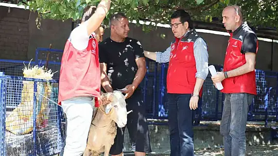 Hayvan satış ve kesim yerleri  bayrama hazır