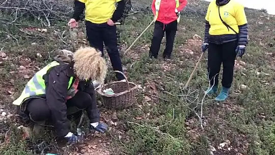 Hedef 20 bin tohum topu