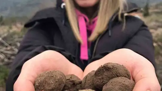 Hedef 20 bin tohum topu