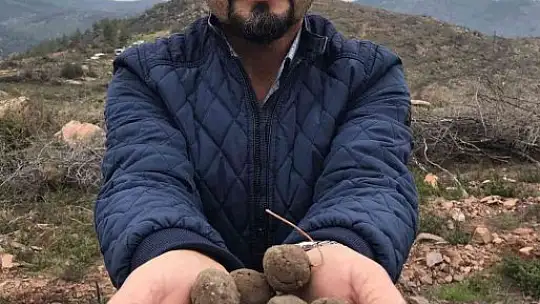 Hedef 20 bin tohum topu