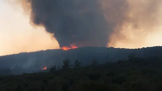 Herkes seferber oldu ama Kıyıkışlacık'ta alevler yeniden yükseldi