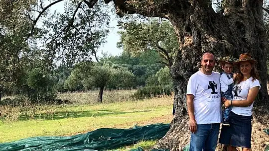 Hobi amaçlı satın aldığı tarlanın içindeki zeytin ağacı 3200 yıllık çıktı
