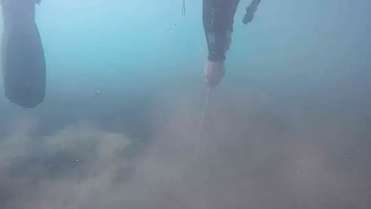 İklim değişikliği, orman yangınları ve aşırı yağışlar erozyona sebep oluyor