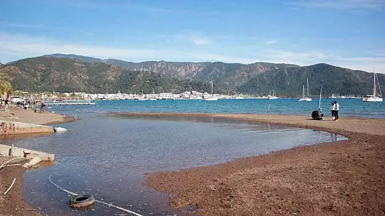 İklim değişikliği, orman yangınları ve aşırı yağışlar erozyona sebep oluyor