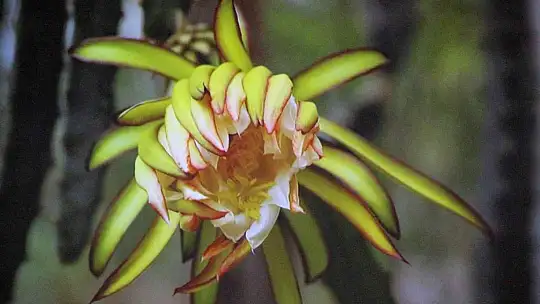İklim değişikliği, tarımsal faaliyetleri de etkiledi