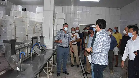 İl Müdürü Saylak,'Ülkenin en önemli su ürünleri yetiştiriciliği potansiyeline sahip il Muğla'