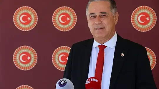 CHP'li Özcan'dan Tarım ve Orman Bakanına orman yangınları ile ilgili 41 soru