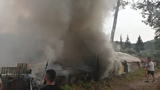 Buzdolabı motoru yangın çıkardı