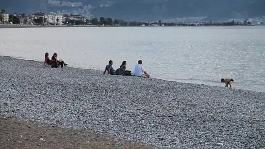 Sahiller turistlere ve hayvanlara kaldı