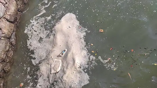 Körfezde istenmeyen görüntüler!