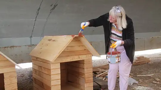 Gönüllülerin projeleri Türkiye'ye örnek olmaya devam ediyor