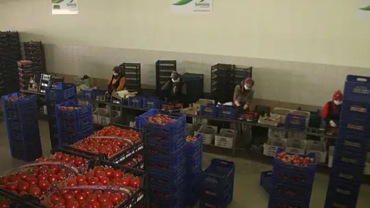 Haller 7/24 çalışmaya devam edecek 